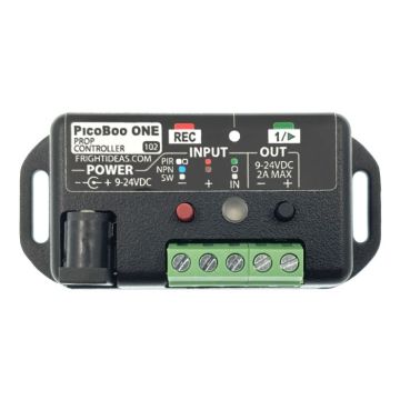 PicoBoo ONE