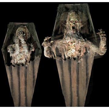 Coffin Mummy Revenge - CMR920