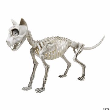 20" X 4" X 12" Articulated Skele-cat Halloween Decoration