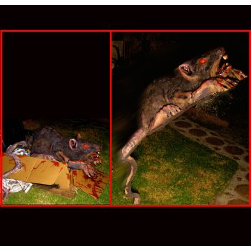 Giant Rat Attack - GR201