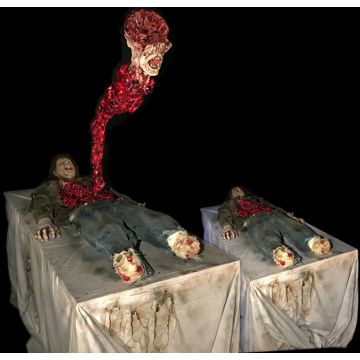 THE HOST - TH1119