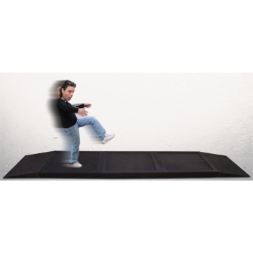 Sold by the tile (section).  3 tiles and transition ramps shown.