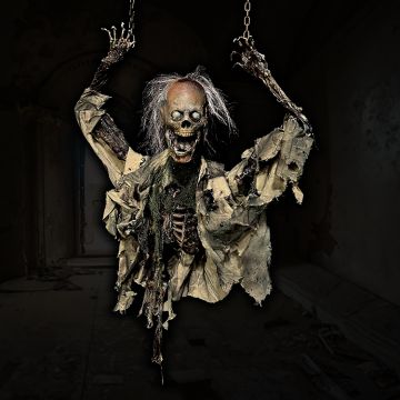 Hanging Bones