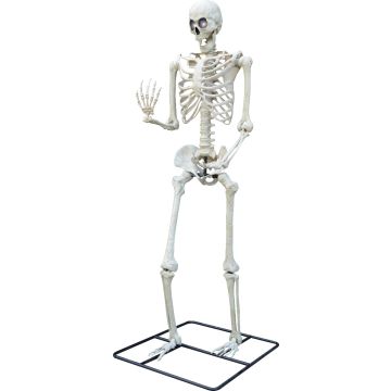 10ft Giant Titan Skeleton with LED Eyes