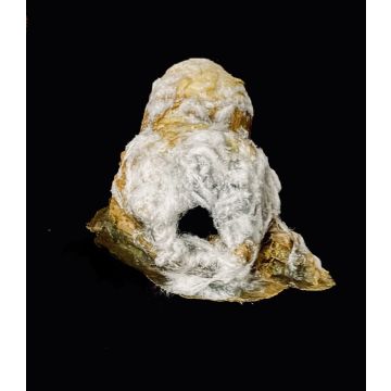 Spider Egg/Cocoon Prop