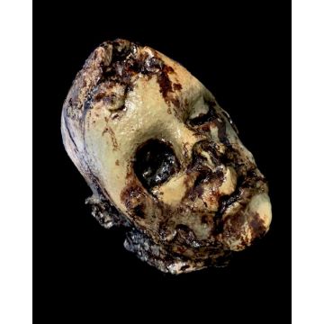 Decomposing Donald Prop Head