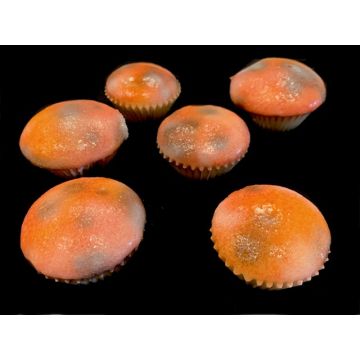 Moldy Muffins (6 Pack)