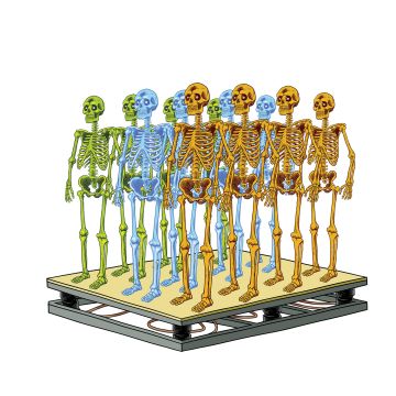 Motion Platform