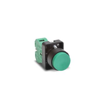 Panel Mount Momentary Pushbuttons