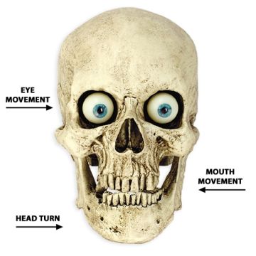 Talking Skull with Head Turn