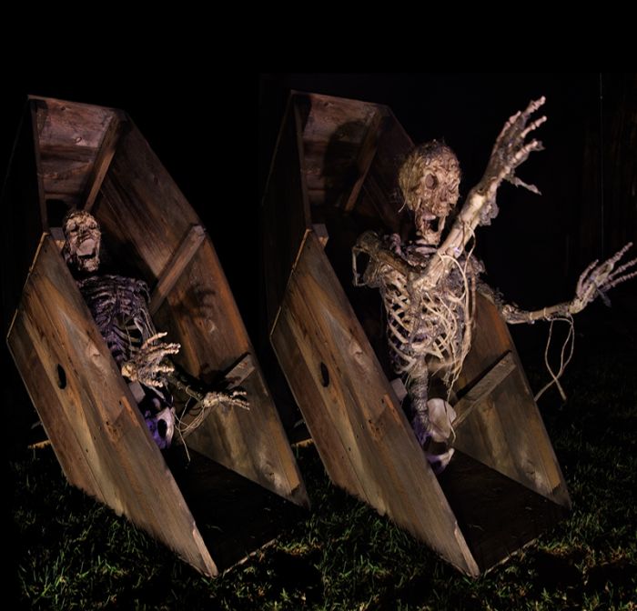 COFFIN DUG UP SKELLY - CDU402