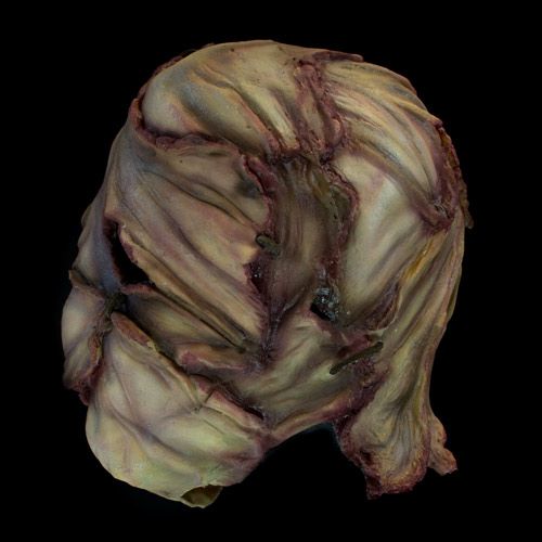 Skinned Head