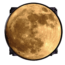 Special Effect Lights