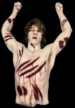 CX Simply Shredded Half Body