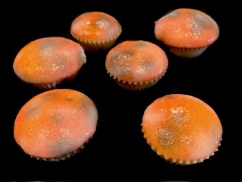 Moldy Muffins (6 Pack)