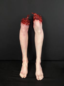 CX Body Part: Severed Half Leg