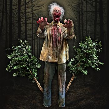 ZOMBIE BUSH THRASHER - ZBT201